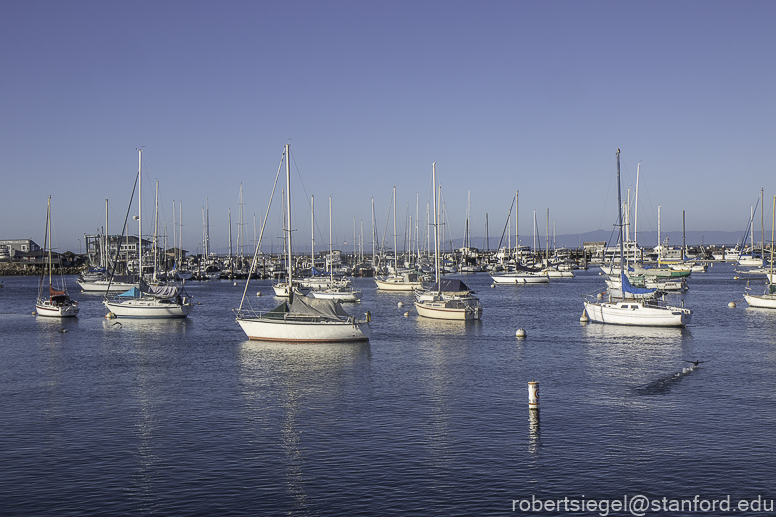 Monterey Bay whale watching